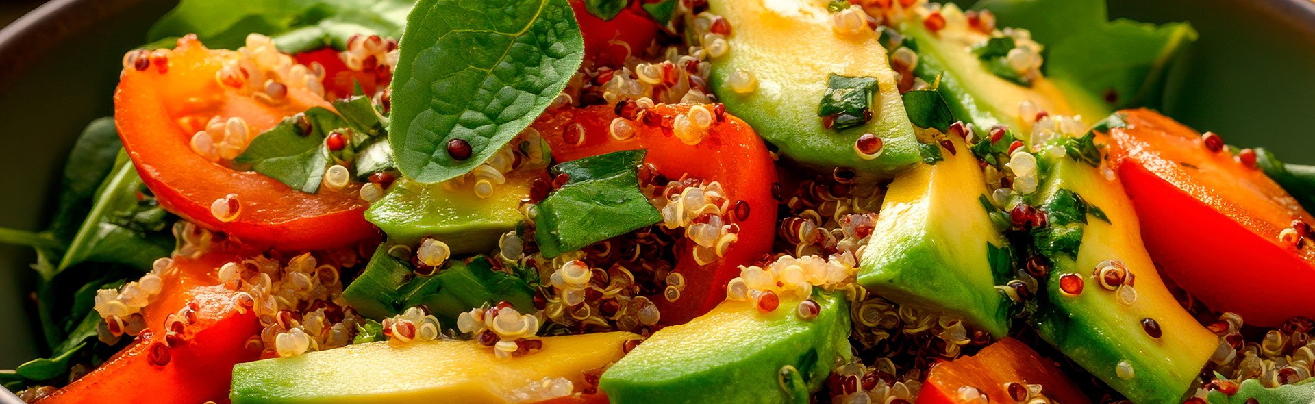insalate vegane