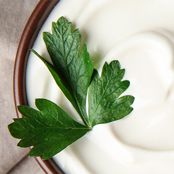 Salse allo yogurt di tutto il mondo