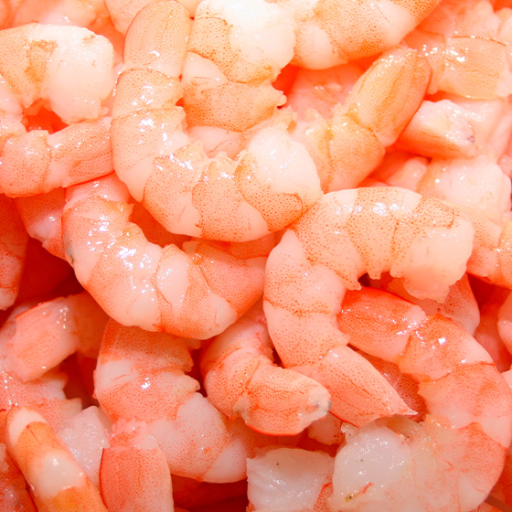 Gustose salse per gamberi, un trionfo di piacere