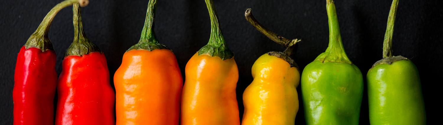 Conosci tutti i tipi di peperoncino?